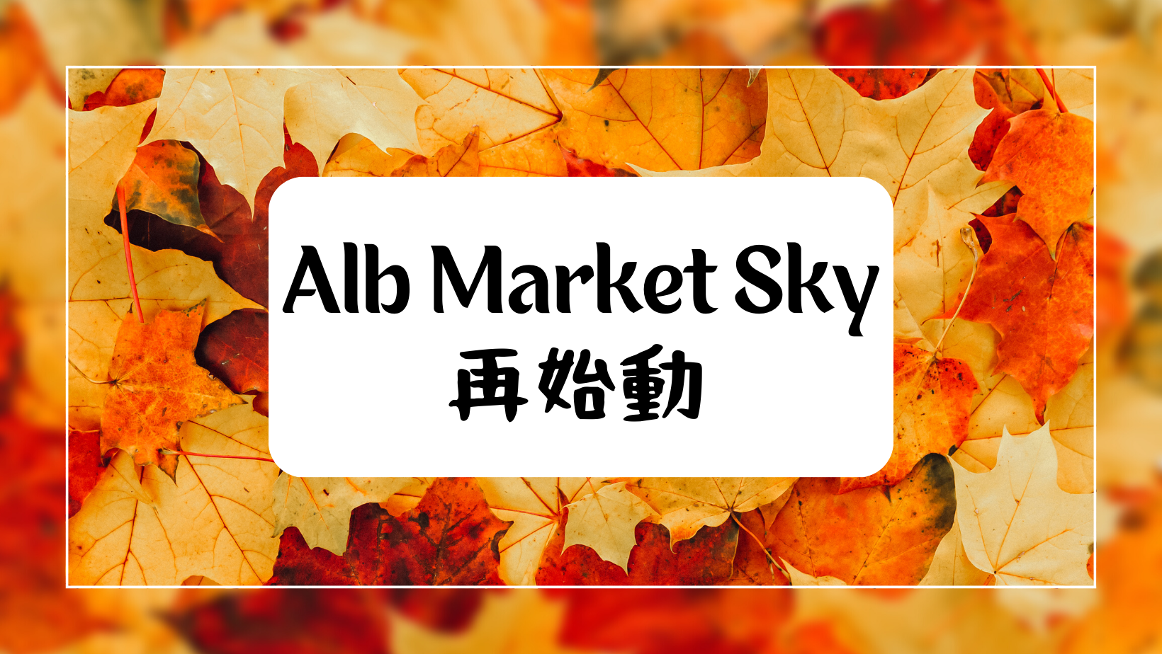 ALB MARKET SKY 再始動